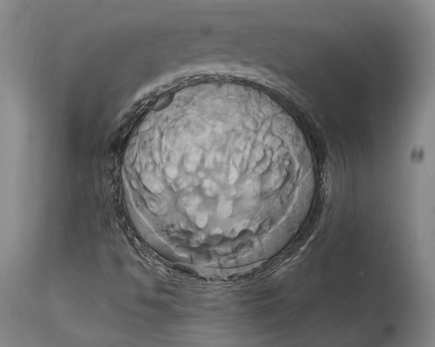 X0000114701494200911121528