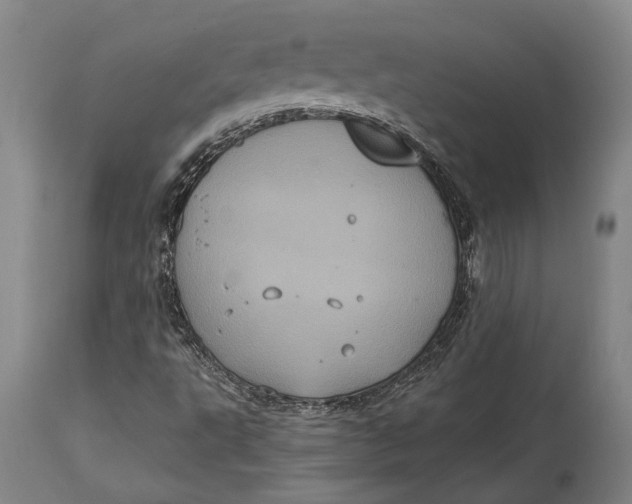 X0000114701495200911121528