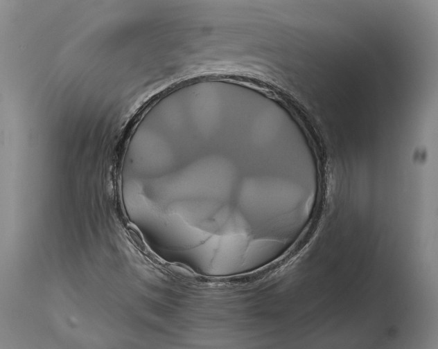 X0000114701497200911121528