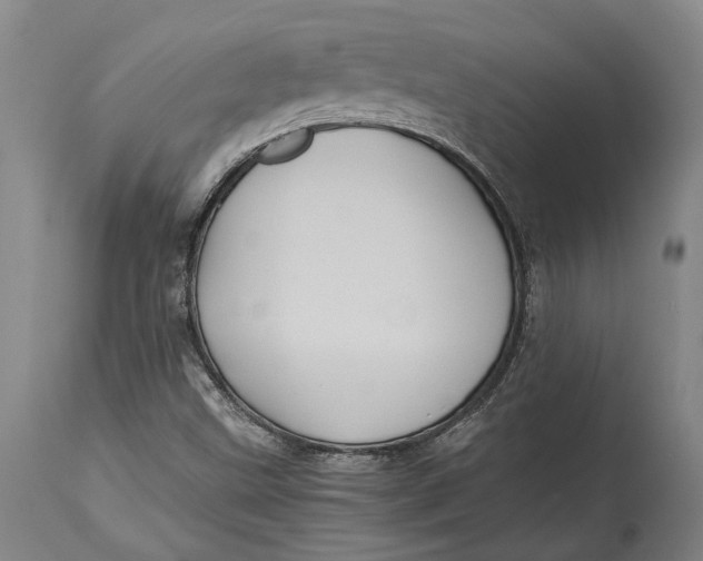 X0000114701499200911121528