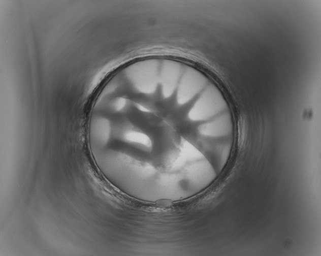 X0000114701501200911121528