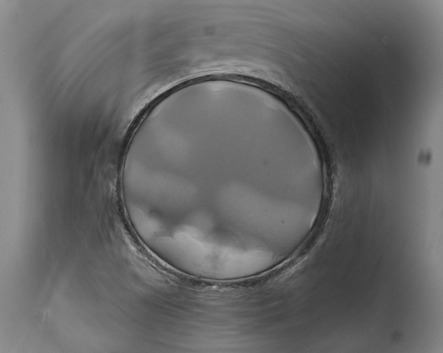 X0000114701505200911121528