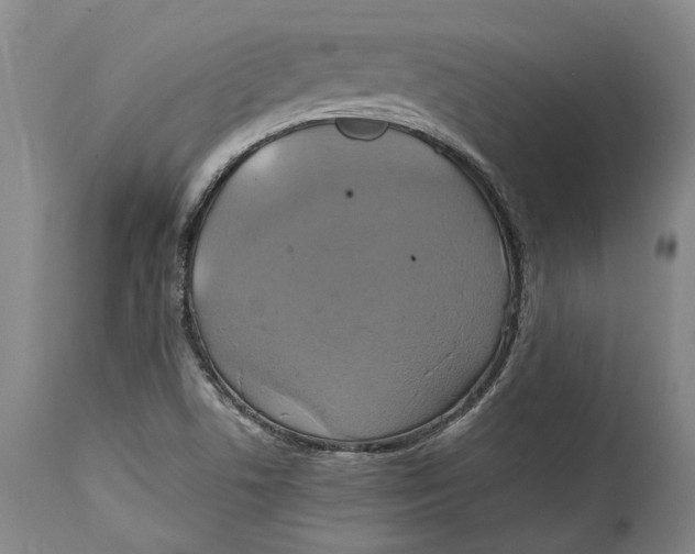 X0000114701506200911121528