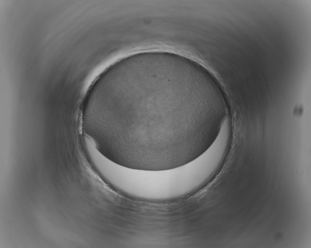 X0000114701510200911121528