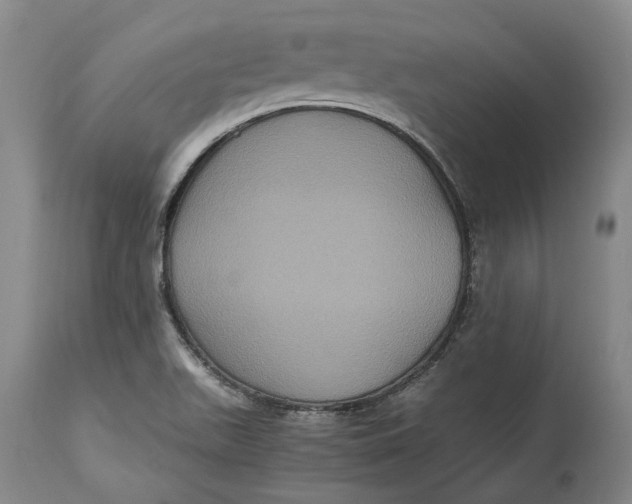 X0000114701511200911121528