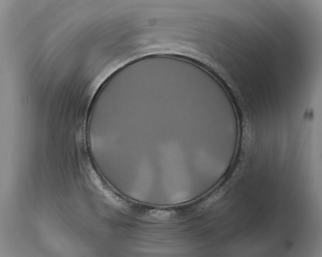 X0000114701513200911121529