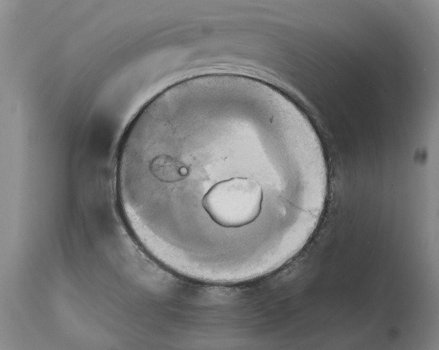 X0000114701514200911121529