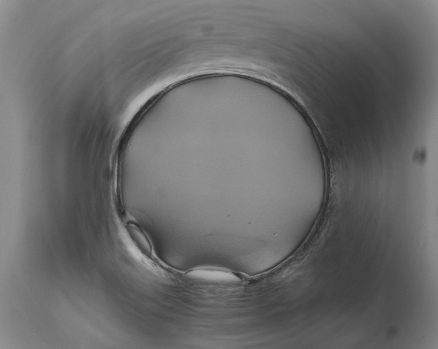 X0000114701515200911121529