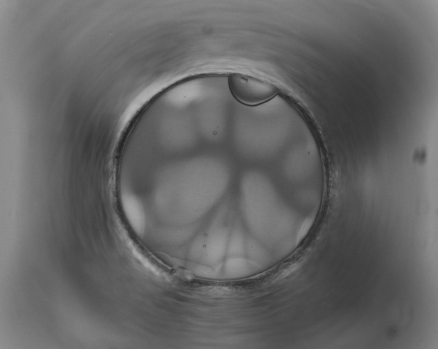 X0000114701517200911121529