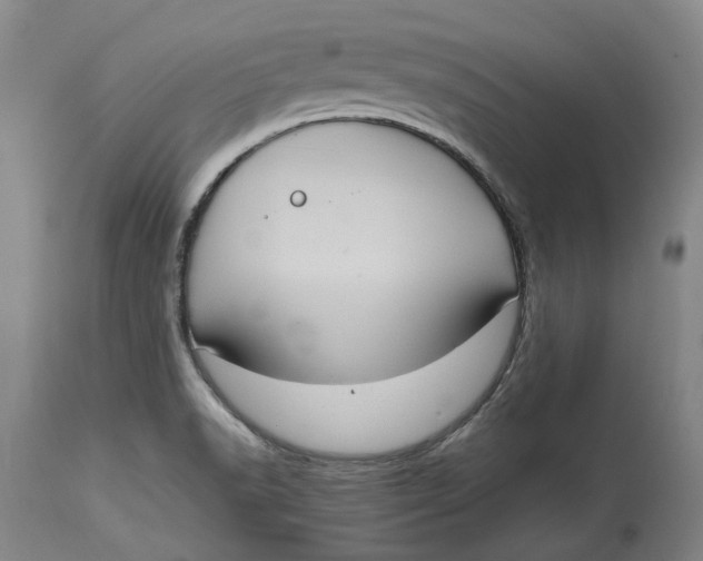 X0000114701518200911121529