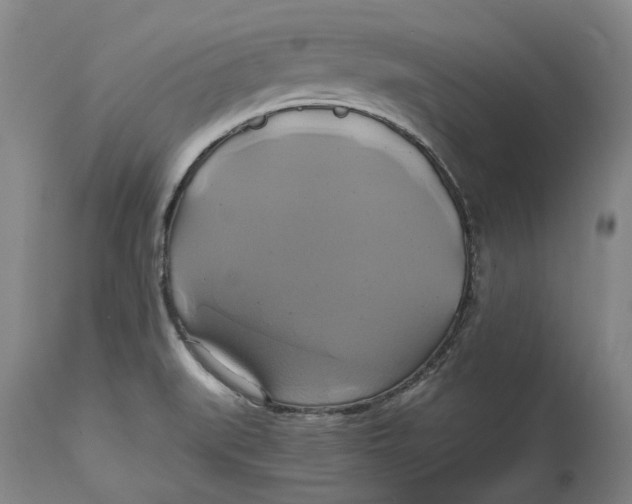 X0000114701519200911121529