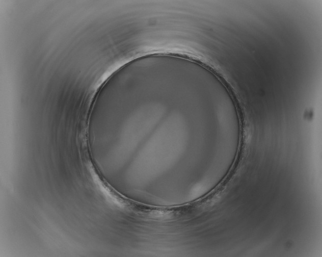 X0000114701521200911121529