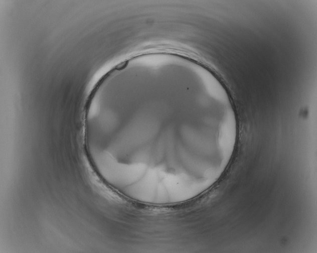 X0000114701522200911121529