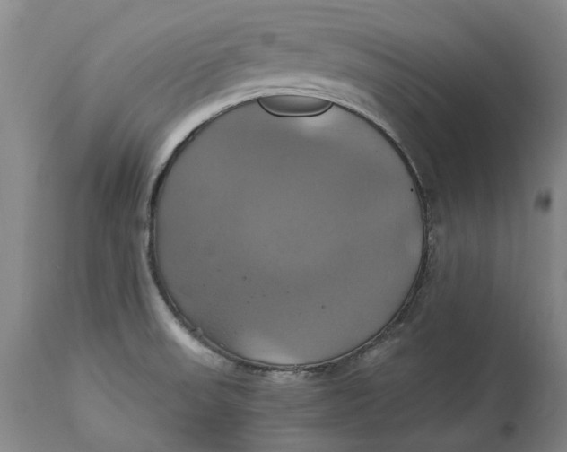 X0000114701523200911121529