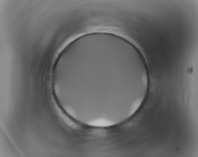 X0000114701525200911121529