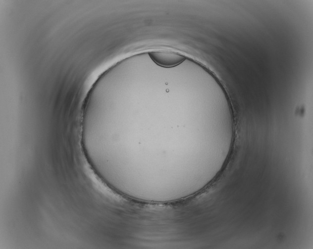 X0000114701526200911121529