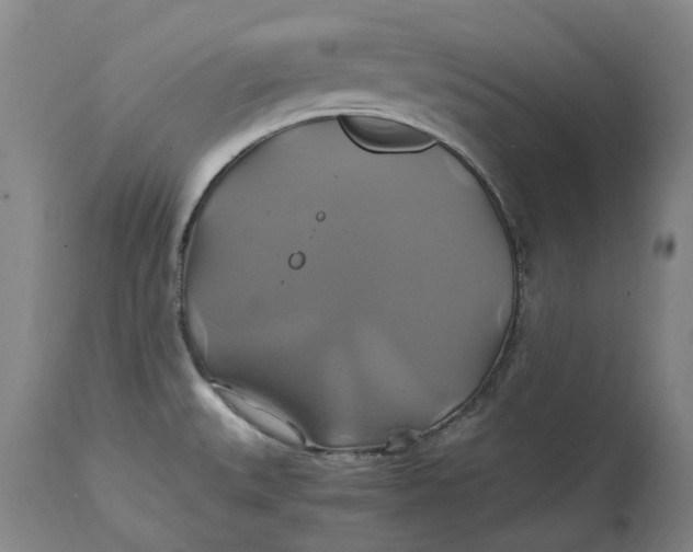 X0000114701527200911121529