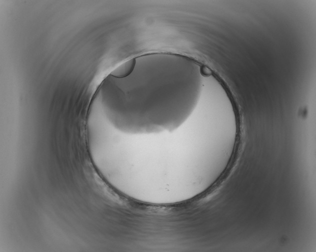 X0000114701529200911121529