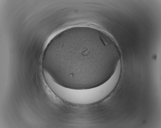 X0000114701530200911121529