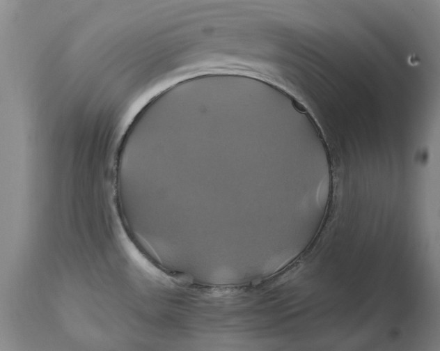 X0000114701531200911121529