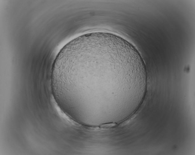 X0000114701534200911121529