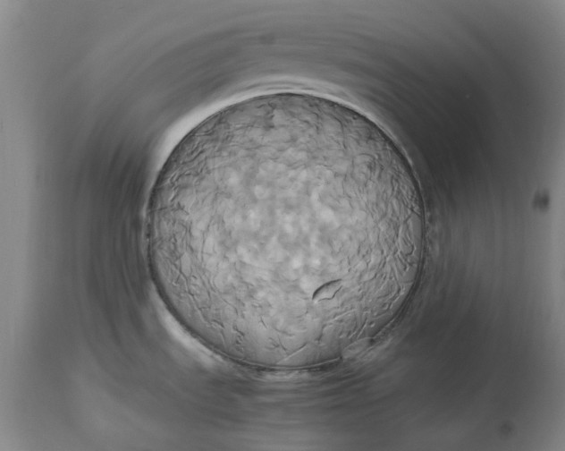 X0000114701535200911121529