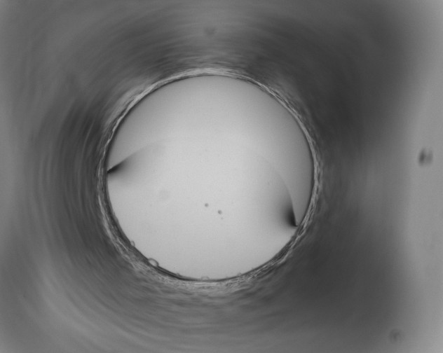 X0000114700001200911181328