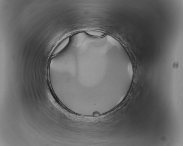 X0000114700002200911181328