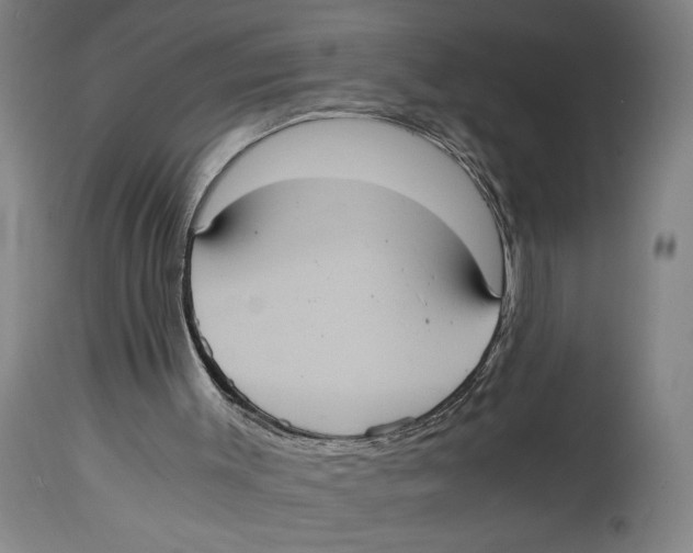 X0000114700003200911181328