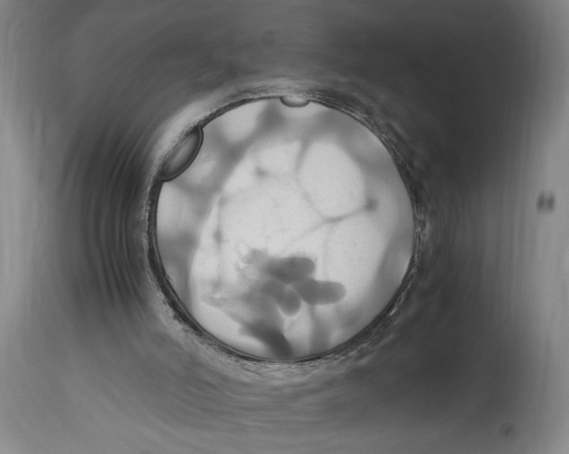 X0000114700006200911181328