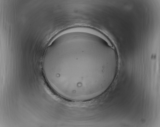 X0000114700009200911181328