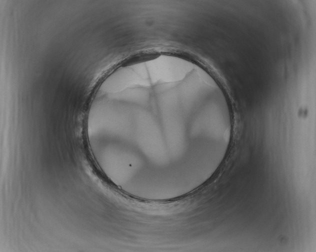 X0000114700010200911181328