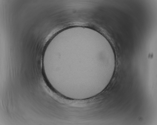 X0000114700011200911181328