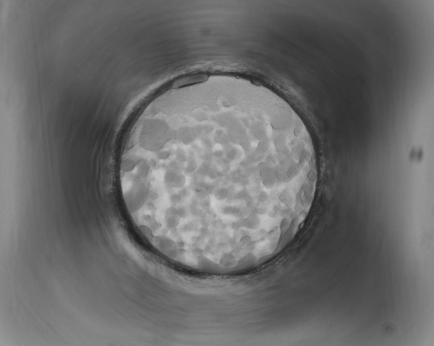 X0000114700012200911181328