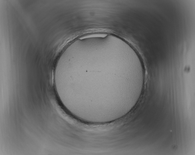 X0000114700013200911181328