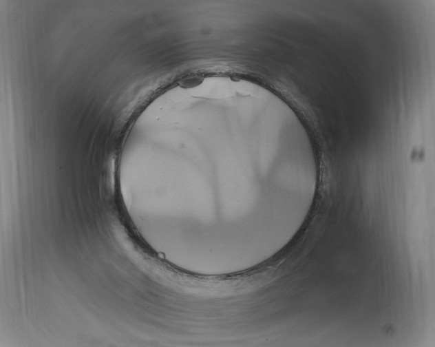 X0000114700014200911181328