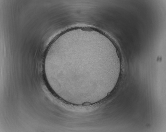 X0000114700015200911181328