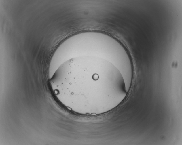 X0000114700017200911181328