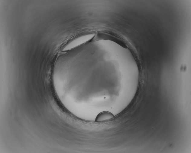 X0000114700018200911181328