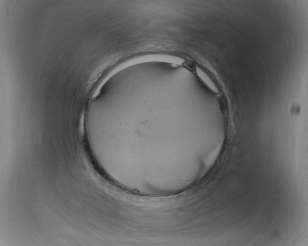 X0000114700019200911181328