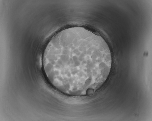 X0000114700020200911181328