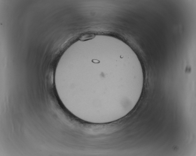 X0000114700021200911181328