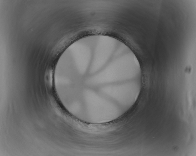 X0000114700022200911181328