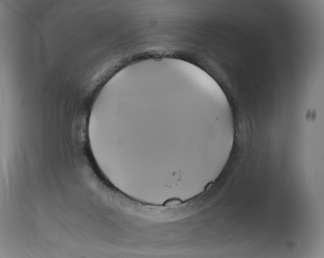 X0000114700023200911181328