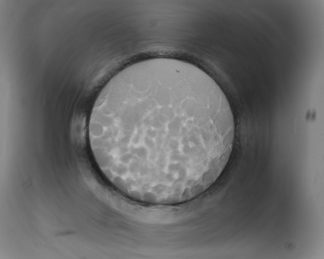 X0000114700024200911181328