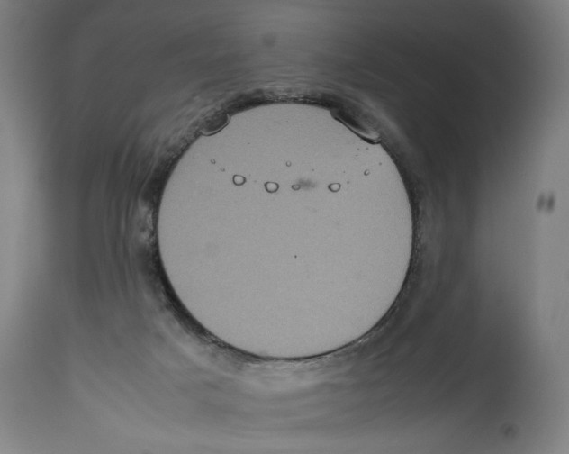 X0000114700025200911181328