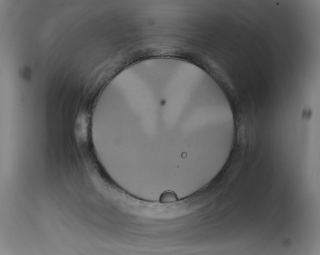 X0000114700026200911181328