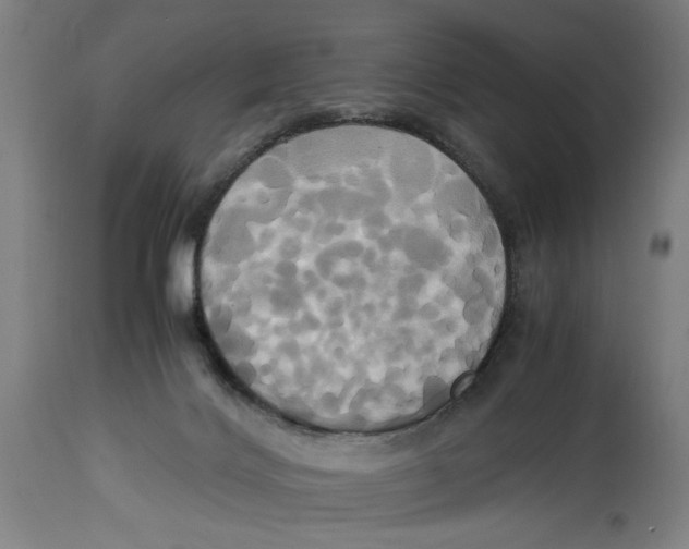 X0000114700028200911181328