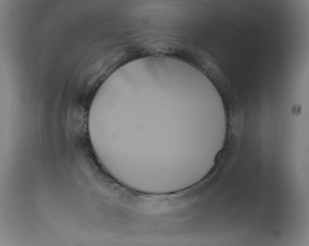 X0000114700029200911181328