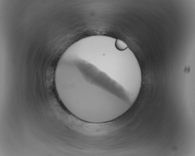 X0000114700030200911181328